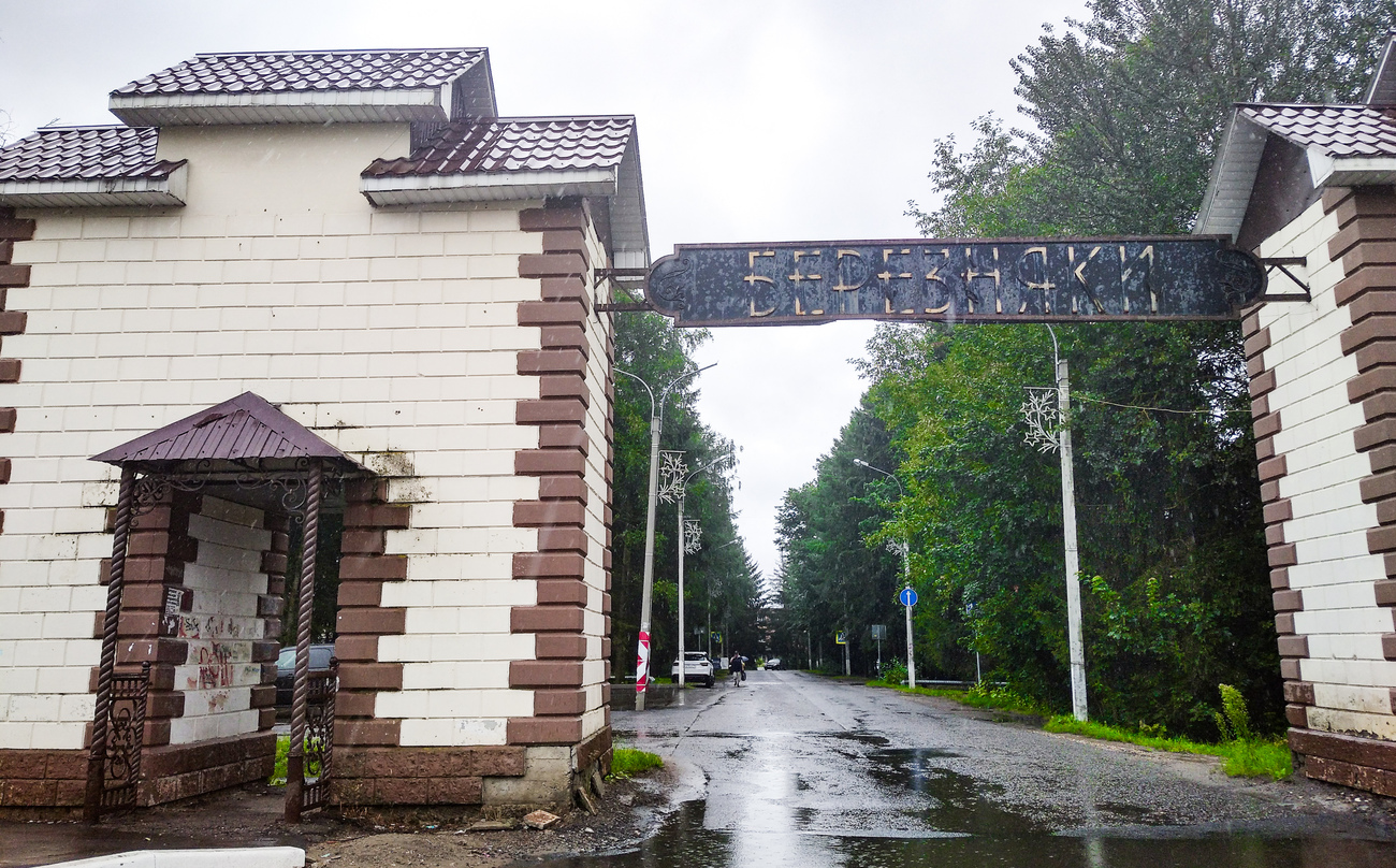 Сергиево-Посадский городской округ, прочие н.п., дер. Березняки, *