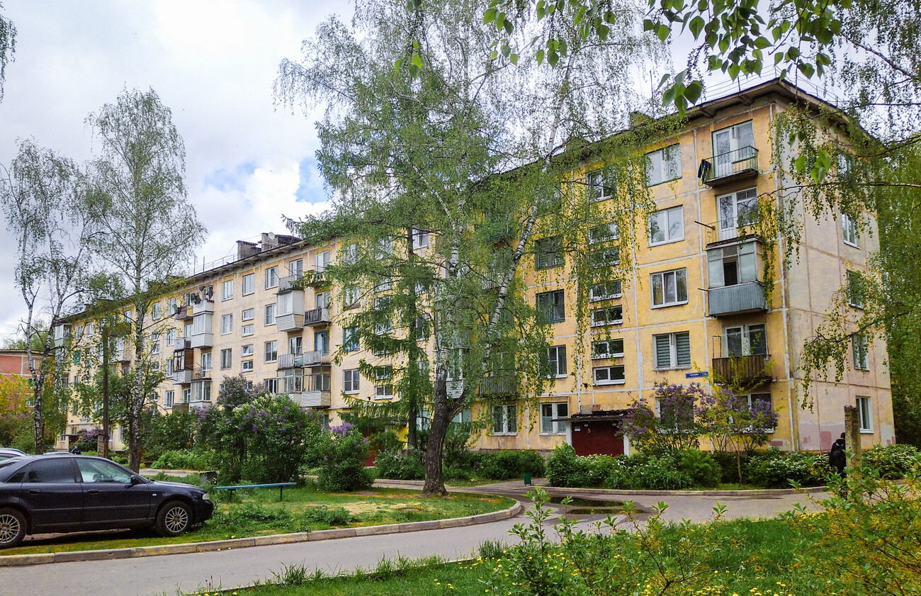 Ногинск, Улица Чапаева, 20