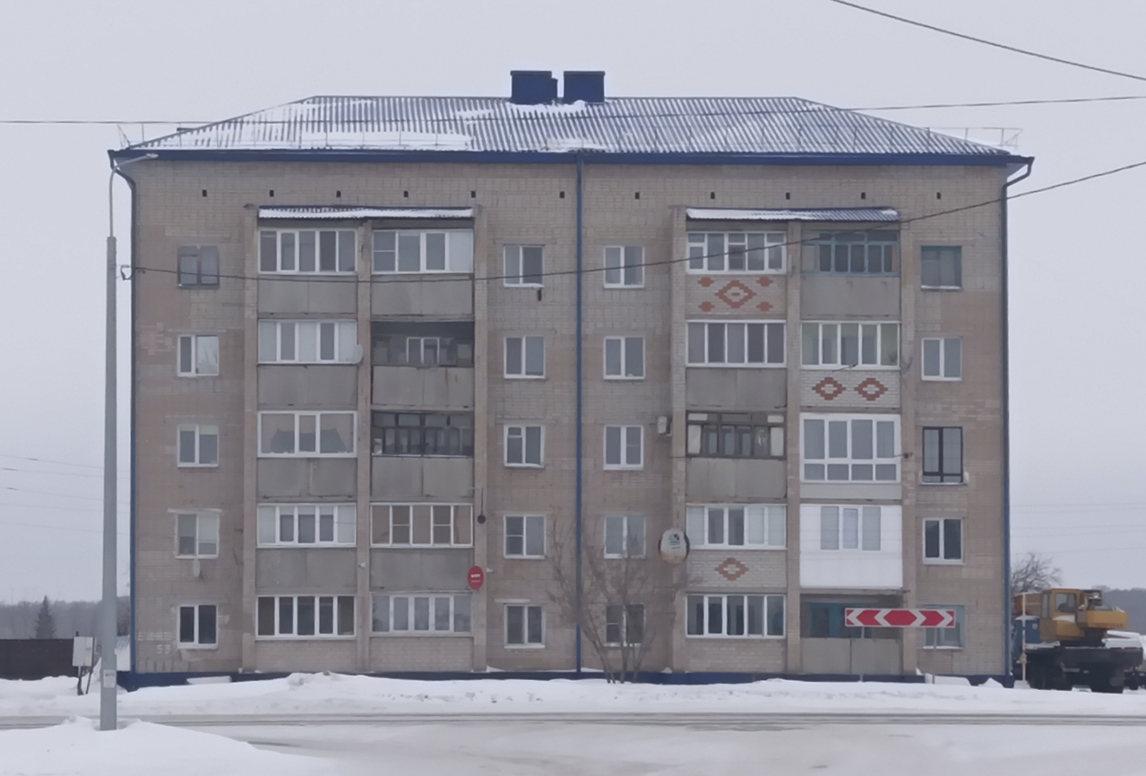 Ишимский район, прочие н.п., с. Стрехнино, Целинная улица, 53