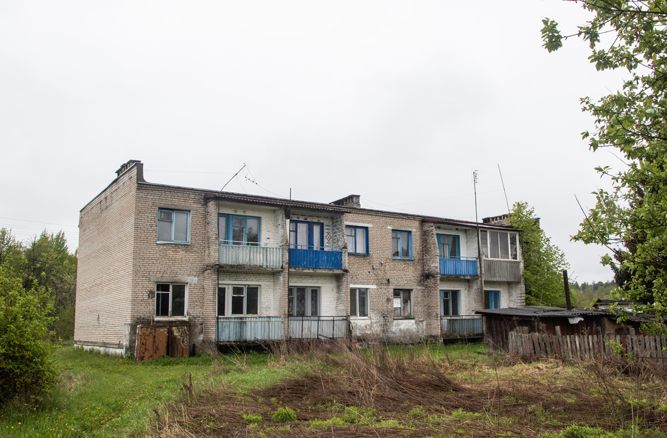 Осиповичский район, прочие н.п., д. Гродзянка, Первомайская улица, 15А