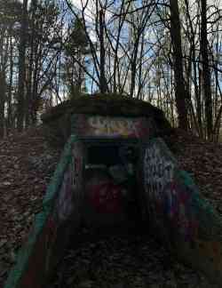 Москва, Битцевский лес