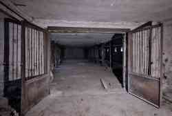 Пятигорск, Урочище Жаба, *