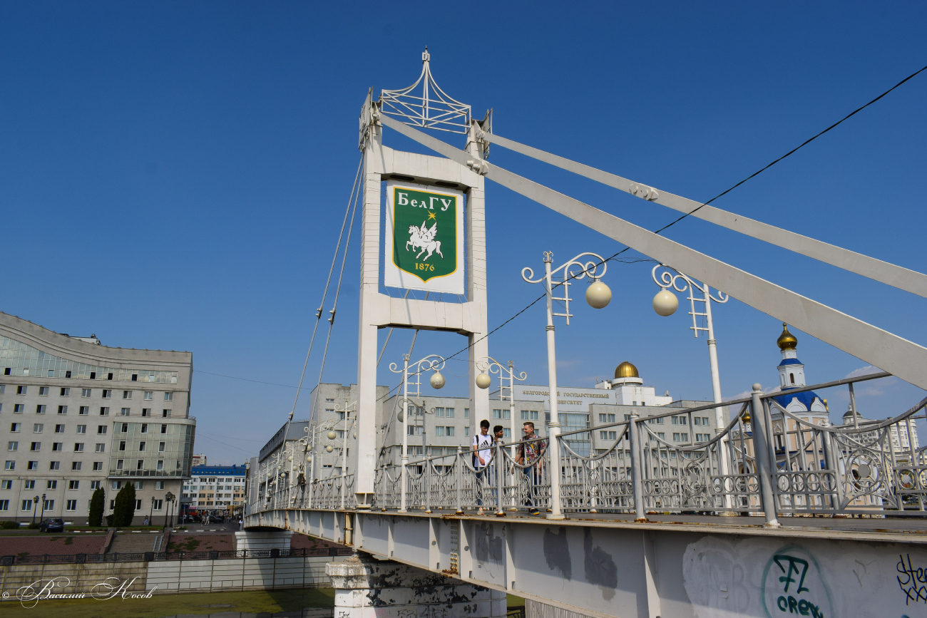 Белгород, Белгород, Университетская площадь, 1*
