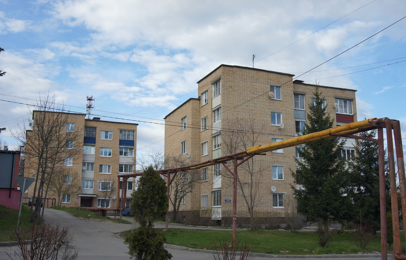 Муниципальный округ Чехов, прочие н.п., с. Шарапово, улица Ленина, 3; с. Шарапово, улица Ленина, 1