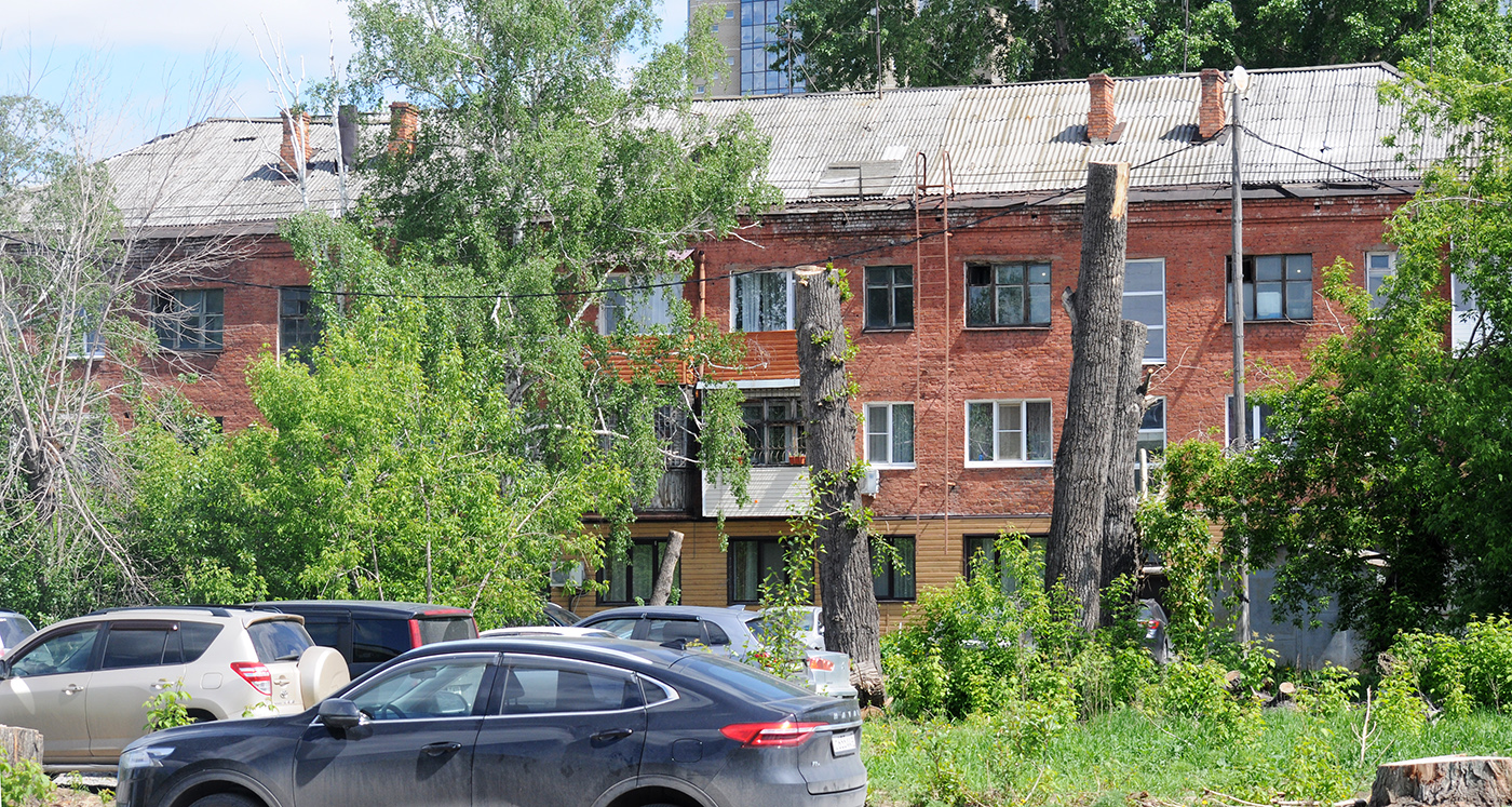 Омск, Улица Пушкина, 133/8