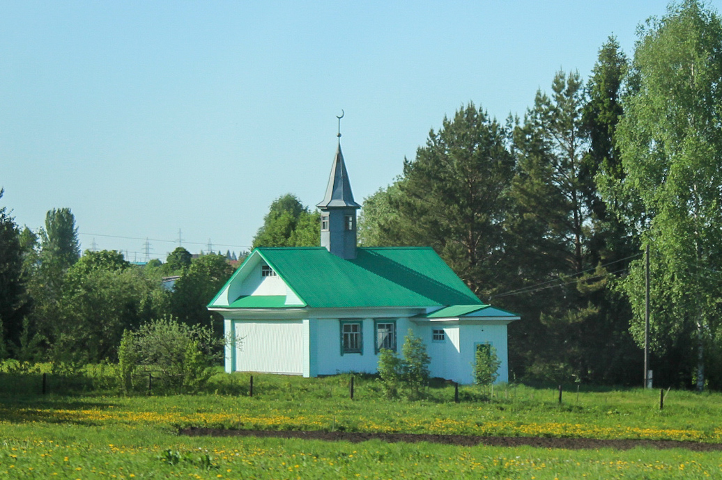 Татышлинский район, прочие н.п., с. Новые Татышлы, Центральная улица, 9А