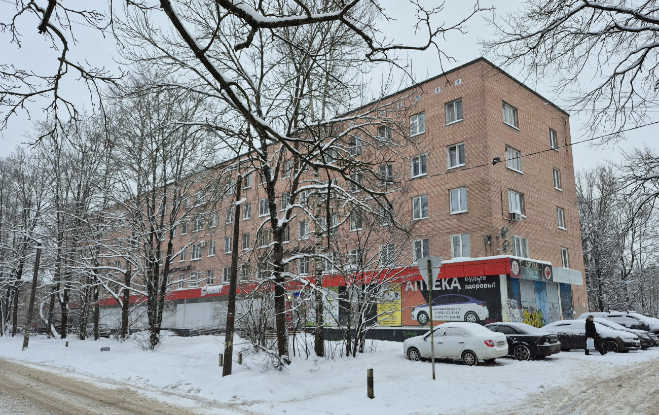 Gatchina, Улица Леонова, 5