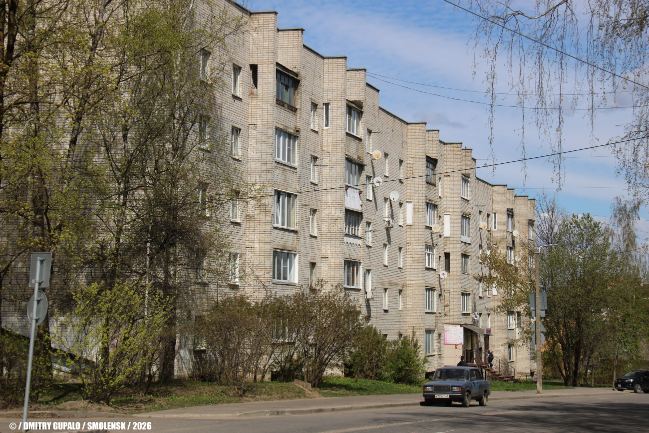 Смоленск, 1-й Краснофлотский переулок, 60