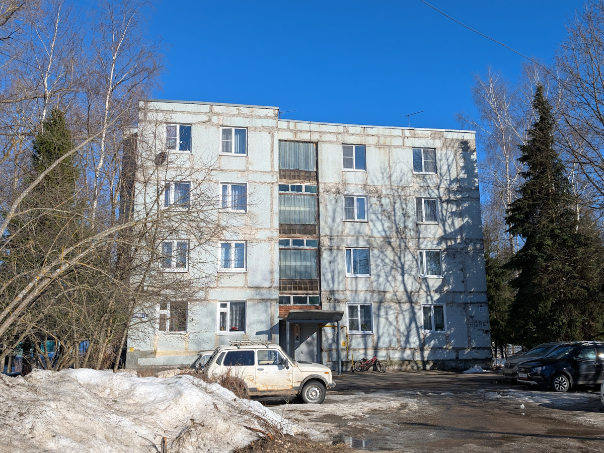 Сергиево-Посадский городской округ, прочие н.п., с. Мишутино, 8