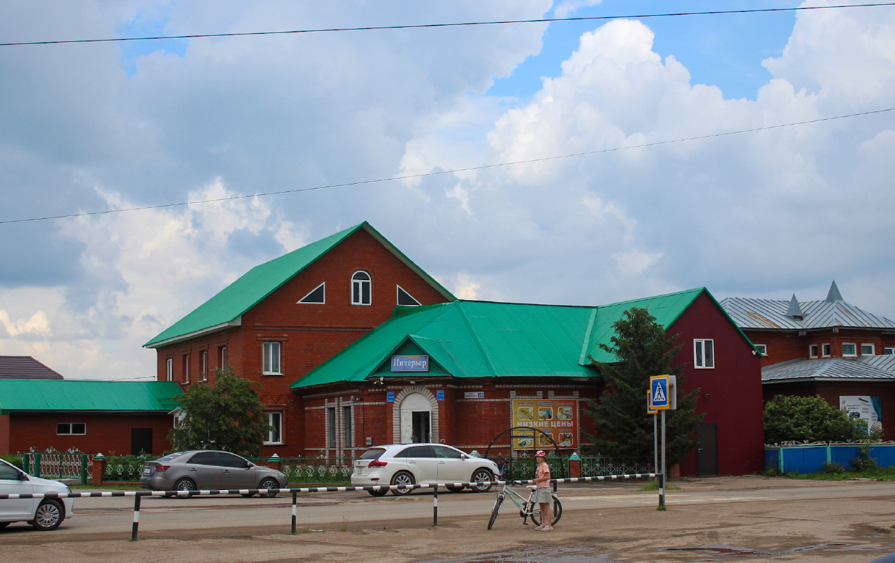 Аскинский район, прочие н.п., с. Аскино, Улица Блюхера, 10