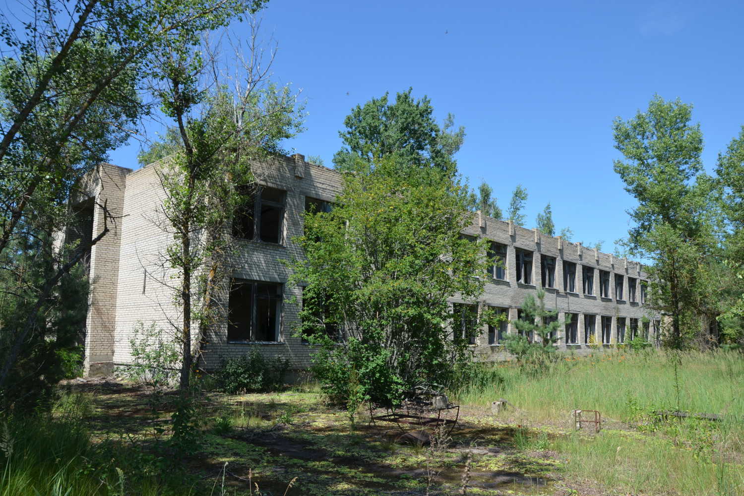 Хойникский район, прочие н. п., ур. Оревичи, 3*
