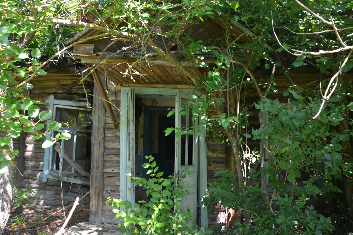 Хойникский район, прочие н. п., ур. Оревичи, 6*