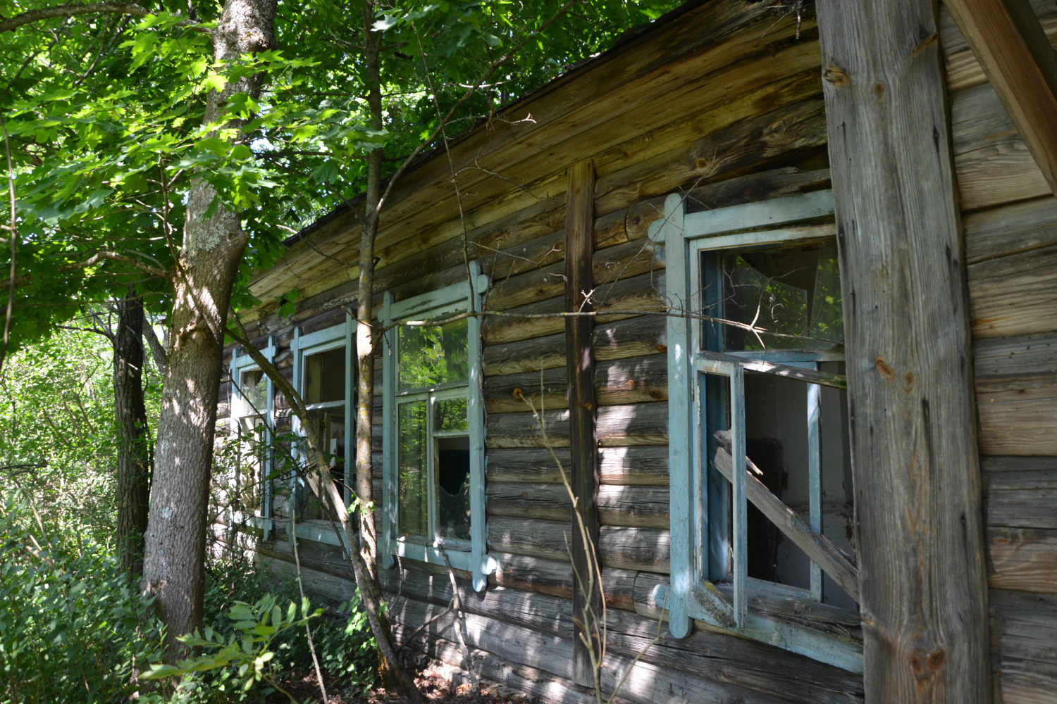 Хойникский район, прочие н. п., ур. Оревичи, 6*