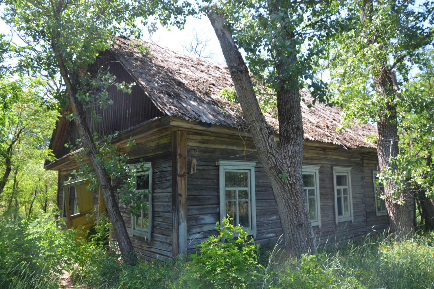 Хойникский район, прочие н. п., ур. Оревичи, 4*