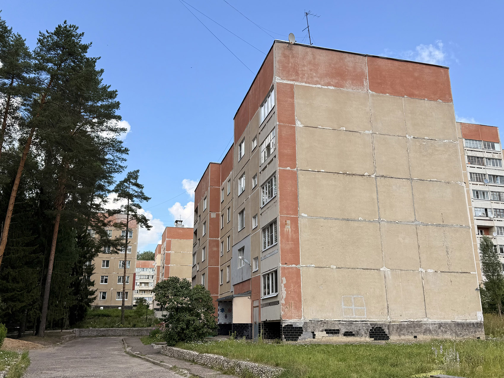 Чистые Боры, Лесной микрорайон, 11