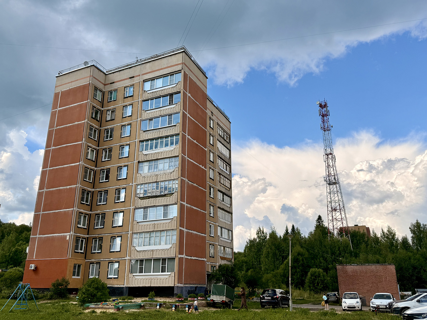 Чистые Боры, Улица Мира, 18