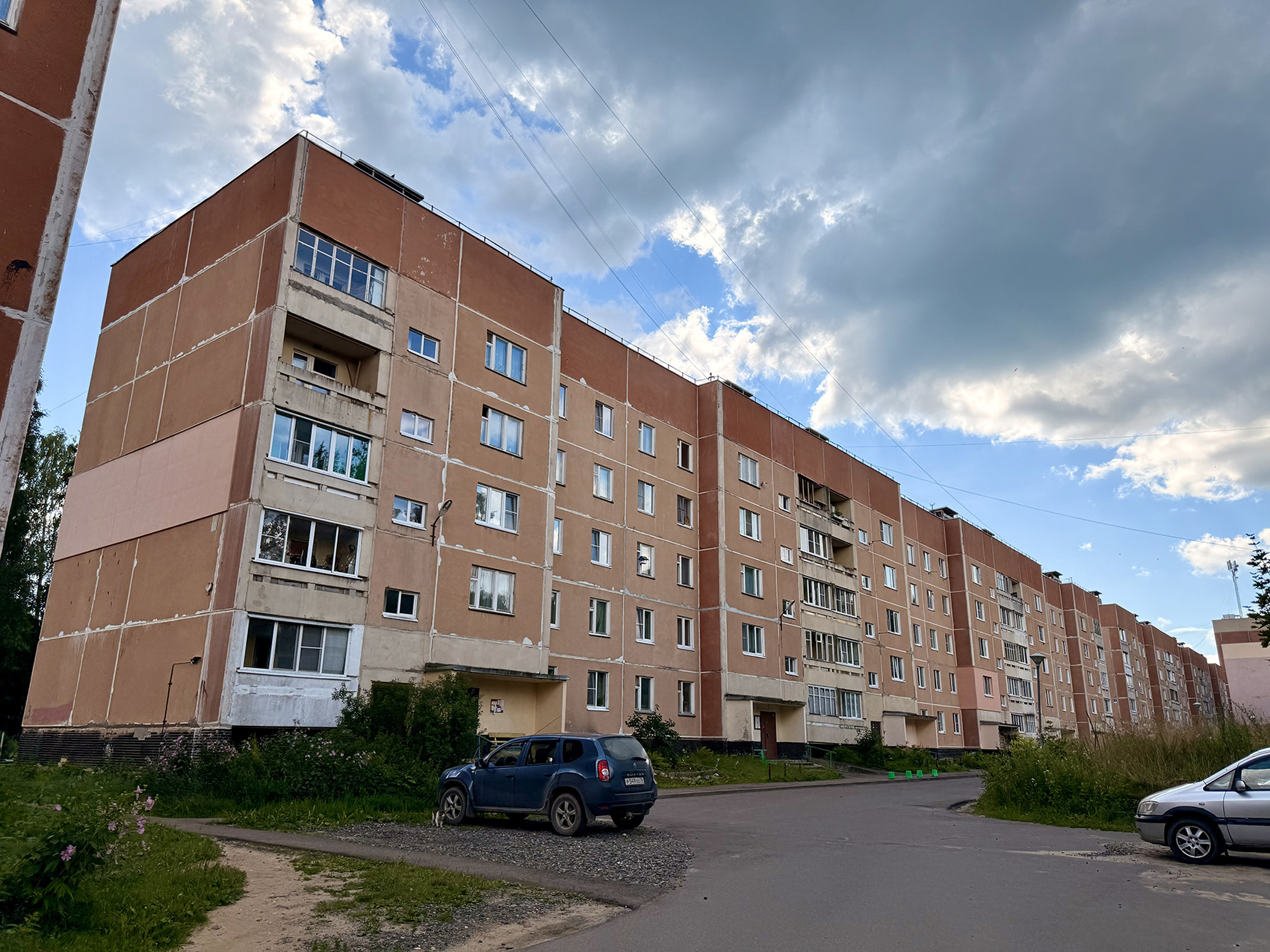 Чистые Боры, Лесной микрорайон, 3