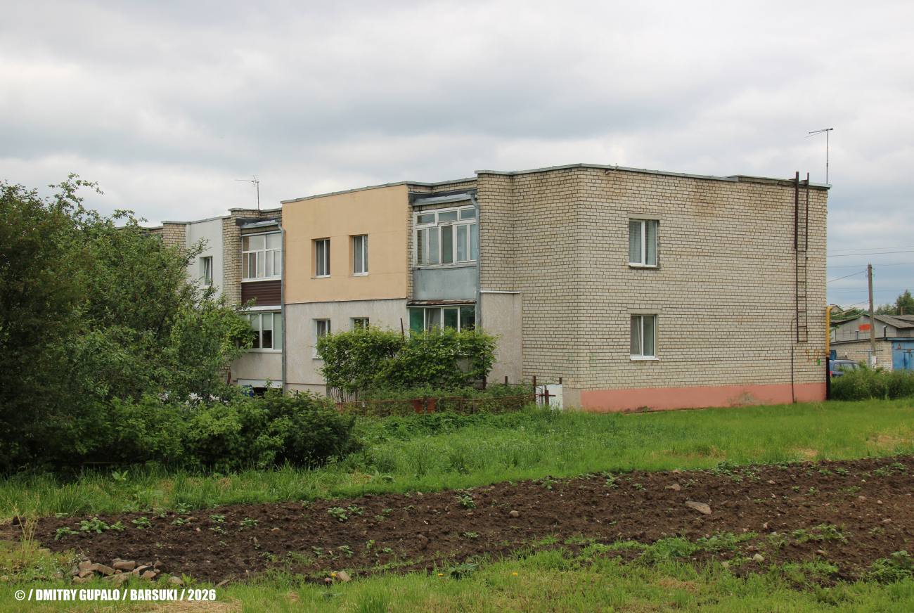 Барсуки, Центральная улица, 20