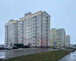 393 КБ