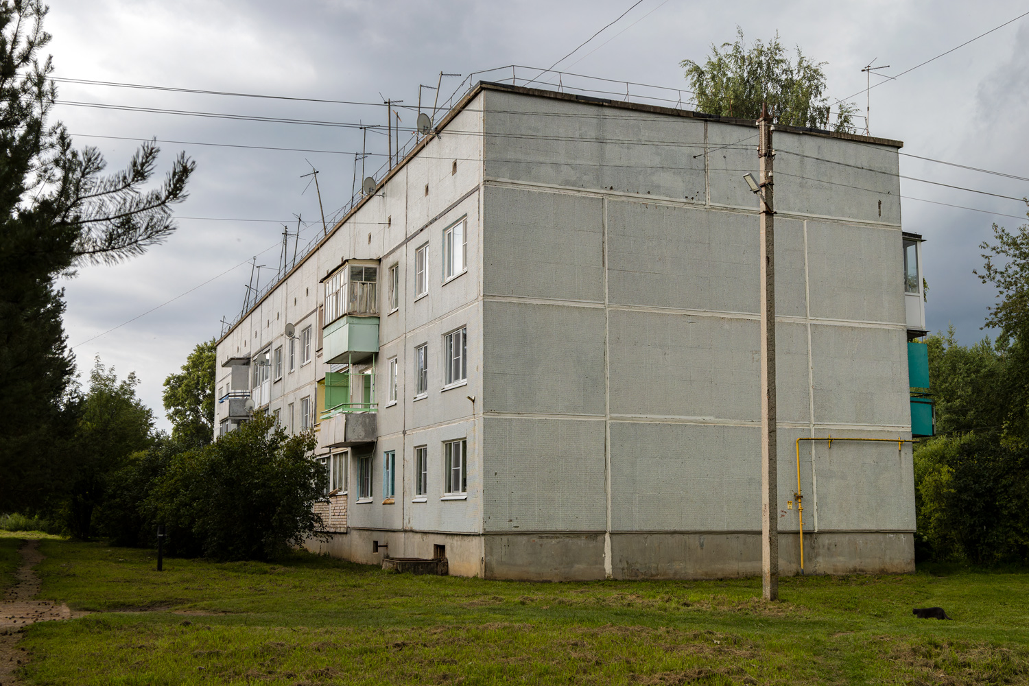 Грязовецкий район, прочие н.п., дер. Юрово, Центральная улица, 9