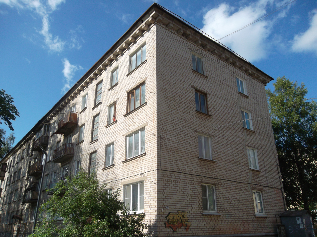 Пикалёво, Заводская улица, 20