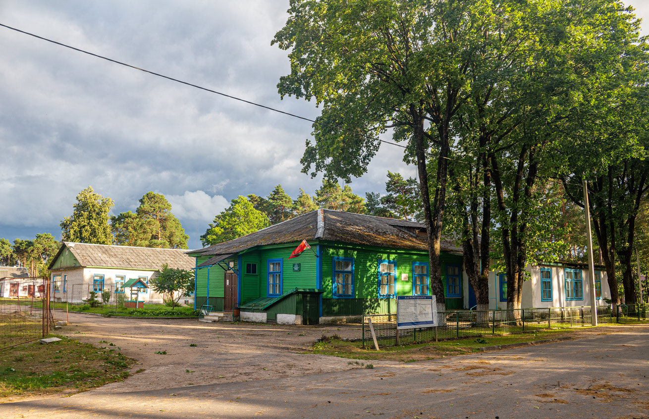 Новоельня, Школьная улица, 1*