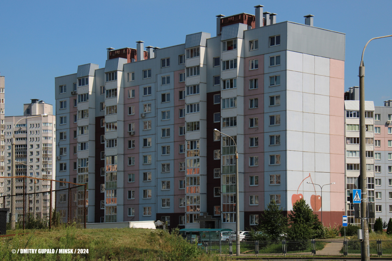 Минск, Улица Академика Карского, 19