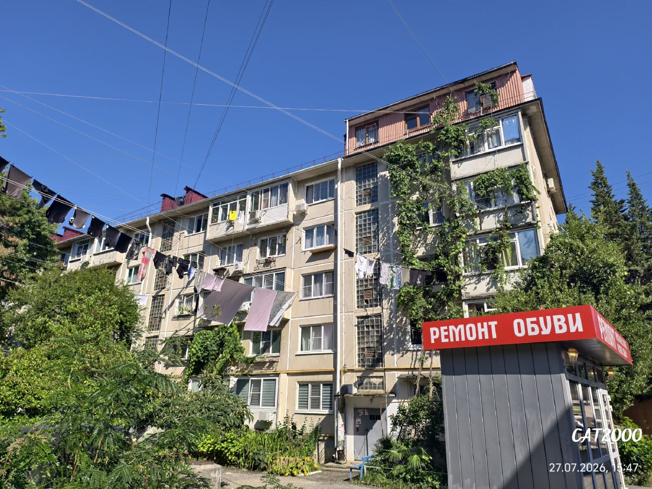 Большой Сочи, Лазаревское, Улица Павлова, 77