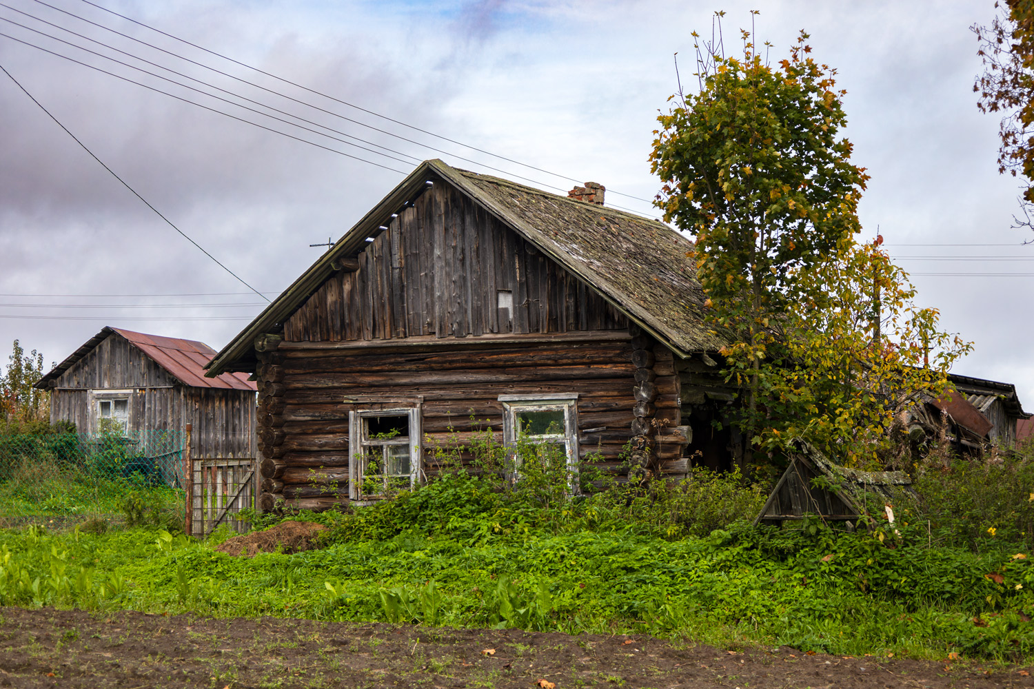 Харовский район, прочие н. п., пос. Возрождение, 25