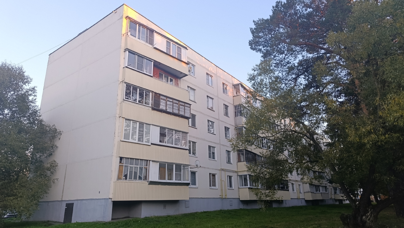 Поселение Клёновское, С. Клёново, Улица Мичурина, 4