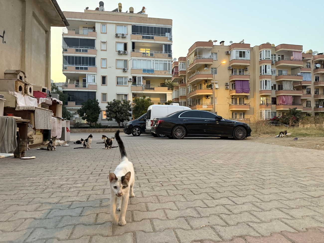 Аланья — Панорамы